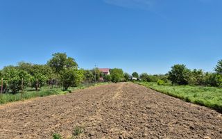 Teren intravilan 2658 mp - 1 Decembrie, Ilfov - Poză 5