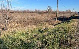 Teren intravilan, Săcădat, 27 921 mp. 9,5 Euro/mp. Comision 0. - Poză 4