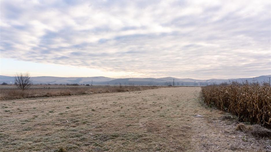5.000 mp, teren extravilan, conditii apreciabile, Bod, Brasov - Poză 6