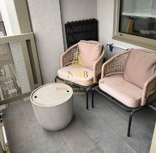 Apartament  de inchiriat 2 camere  -Herastrau - Poză 15