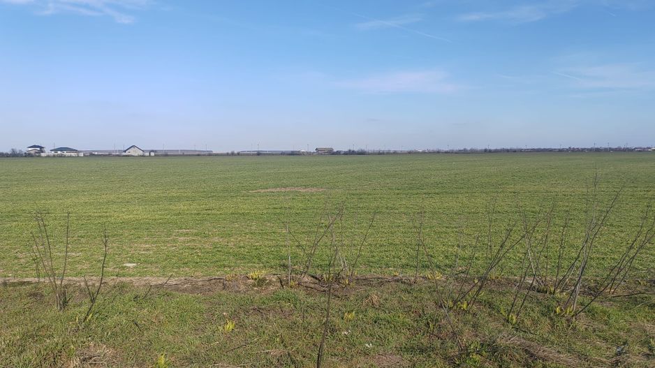 Cernica Tanganu super pret rezidential sau depozitare - Poză 5