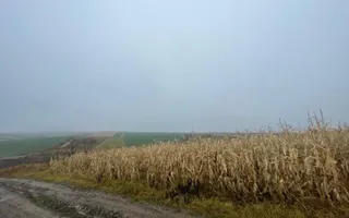 TEREN EXTRAVILAN | DOUA PARCELE 2.84 HA| DARMANESTI - Poză 17