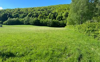 Teren Intravilan in Tocile-priveliste deosebita - Sadu - Sibiu - Poză 2