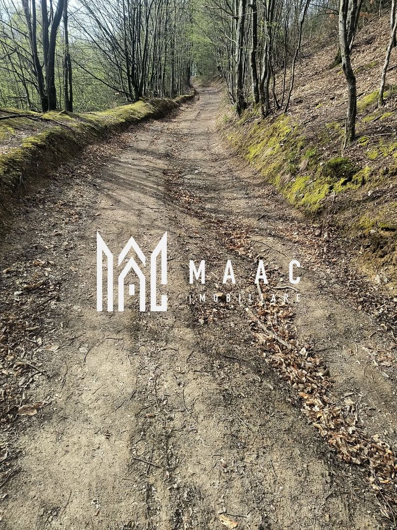 Un colt de rai in Apuseni I viața ca pe vremuri - Poză 5