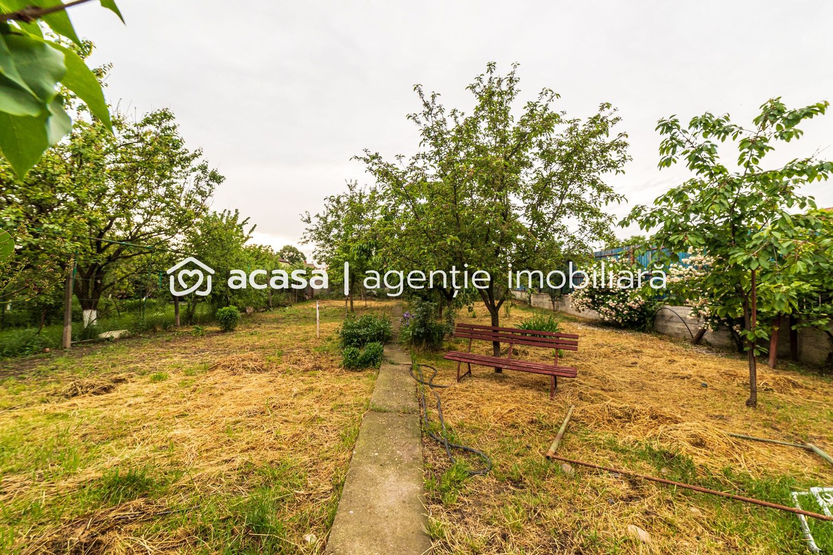 Casa de vis pentru seniori-Pârneava Arad - Poză 13