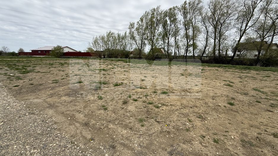Teren intravilan | Rădăuți – Zona Tolocii | 2.000 mp | Parcelabil - Poză 4