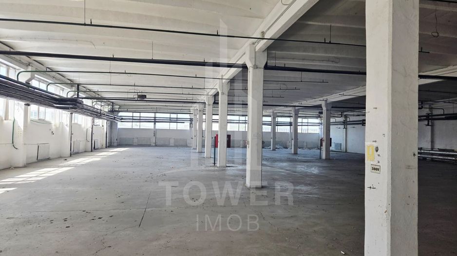 Hala generosa de închiriat . - Poză 1