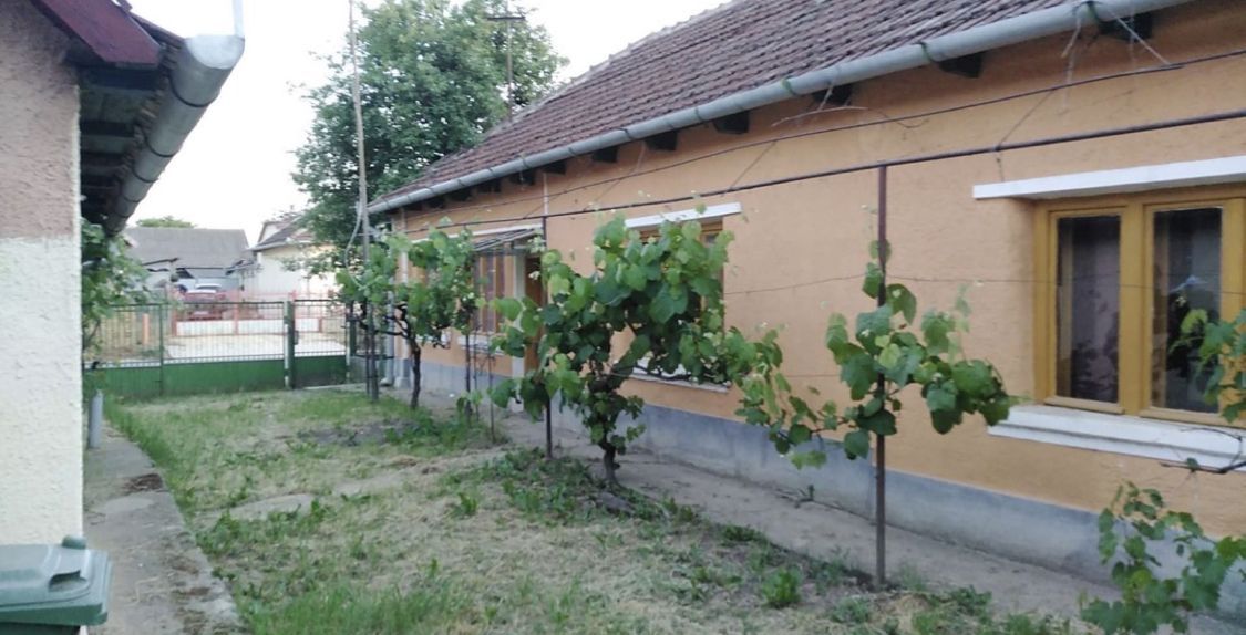 Ocazie unica 2case +1 loc casa/teren - Poză 8