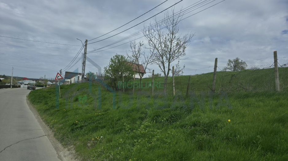 Teren de vânzare în Bogonos, Iași – 6.500 mp cu utilități - Poză 2