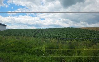 TEREN INTRAVILAN | MOARA NICA, SUCEAVA | 115.000€ - Poză 4