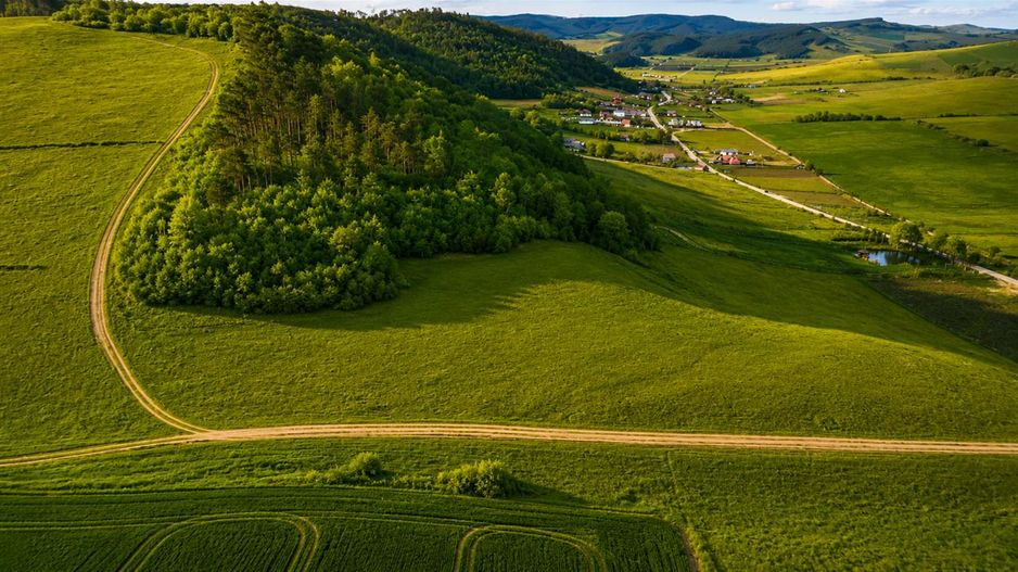 6.000 mp teren granitat de liziera compacta de padure, ecran natural de liniste, - Poză 2