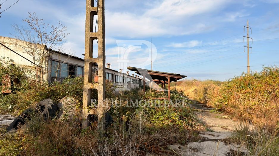Fermă Sărand | Bihor | 25.659 mp teren intravilan - Poză 21