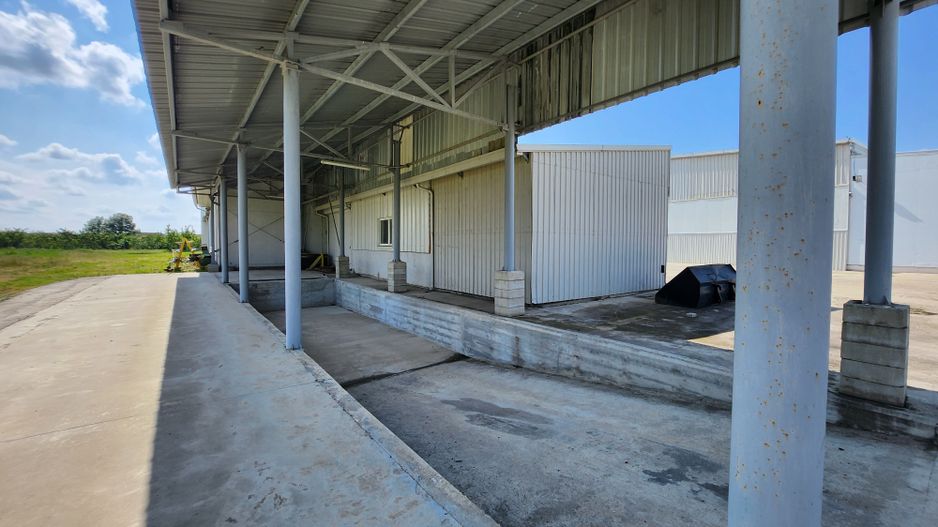 Spatiu industrial productie/ depozitare, Timiș - Poză 6
