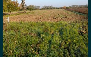 Vand casa in Dumbrava Mica - Poză 7