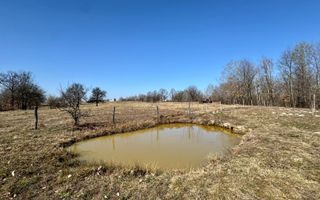 Teren intravilan | Berința | 5800 mp - Poză 1