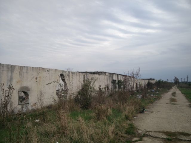 Teren intravilan Crevedia cu iesire la lac pe 2 laturi - Poză 4