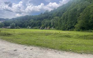 Teren pentru investiție turistică în Dâmbovicioara – Baranga | 4.500 mp | Front ~102 ml - Poză 3