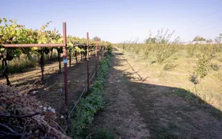 Casă de vânzare Furceni – 7 camere, teren 8.000 m - Poză 28