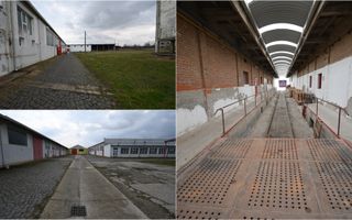 Platforma industriala - Lugoj - Poză 6