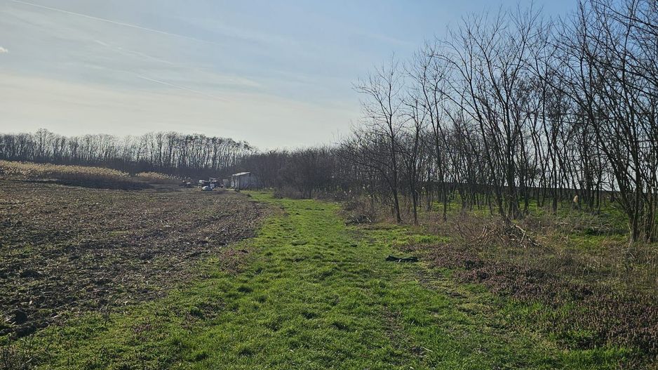 Teren extravilan pentru balastiera Biharia - Poză 2