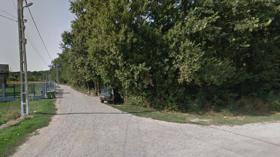 Teren de vânzare la padure Balotesti - Poză 2