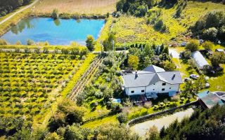 O proprietate de exceptie la Corbi, 18 ha, izvor, lac, pastravarie - Poză 4