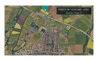 Teren 4 ha – DJ 691 Giarmata | Lângă A1 - Poză 1