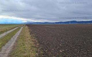 Teren Agricol 2,9 HA,intre Cristian si Vulcan/teren SPORT - Poză 6
