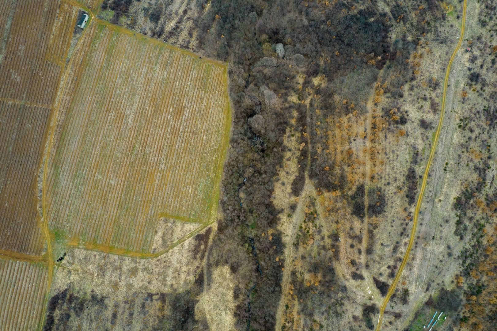 Teren pe deal în Miniș - Poză 6