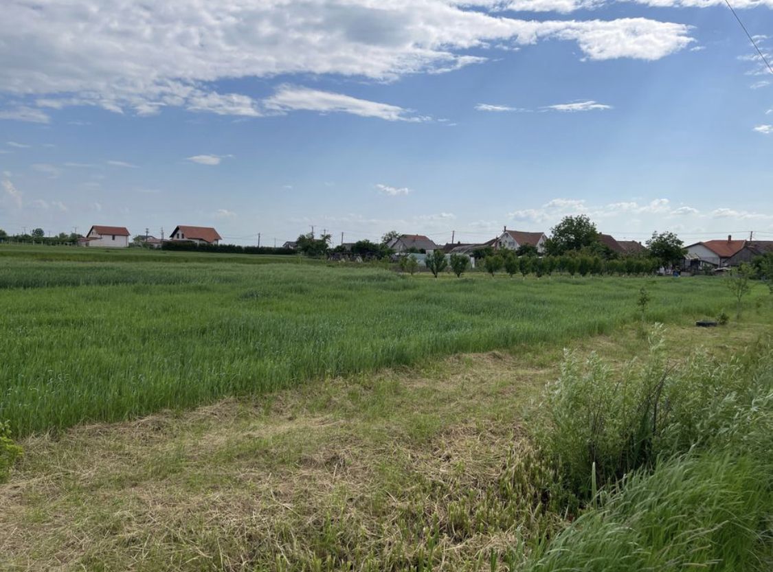 Teren intravilan - Poză 3