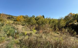 Teren intravilan Făget | 1.490 mp | Front 15 ml | Toate utilitățile - Poză 1