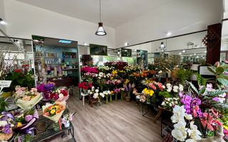 Investitie - Spatiu comercial ultracentral, inchiriat cu 900 Euro - Poză 1