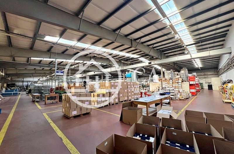 Hală de închiriat în zona industrială Santion, Bihor - Poză 5