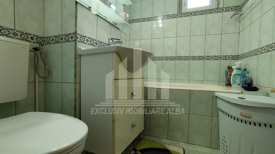 Apartament cu 2 camere de vanzare, Cetate - Poză 5