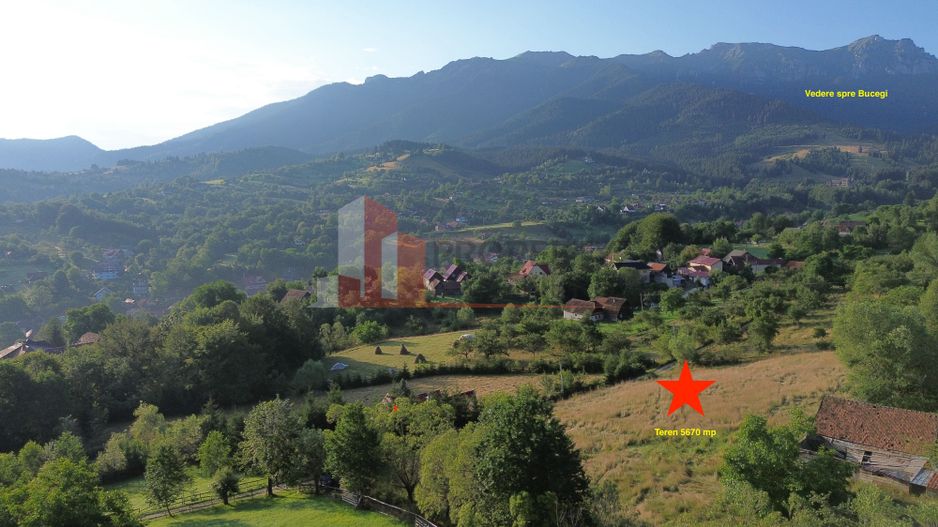 Teren 5760 mp- Bran Poarta - Poză 5