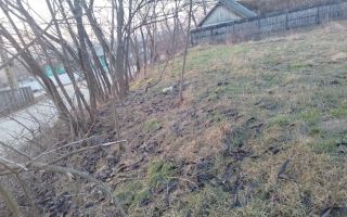 Vanzare teren - zona Ciurea, spre Piciorul Lupului. - Poză 2