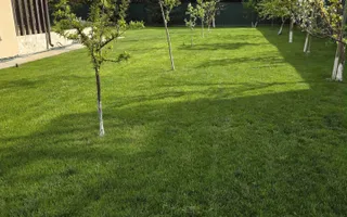 MOGOȘOAIA – VILĂ CU 4 CAMERE, TEREN 971 MP, CURTE ȘI GRĂDINĂ! - Poză 18