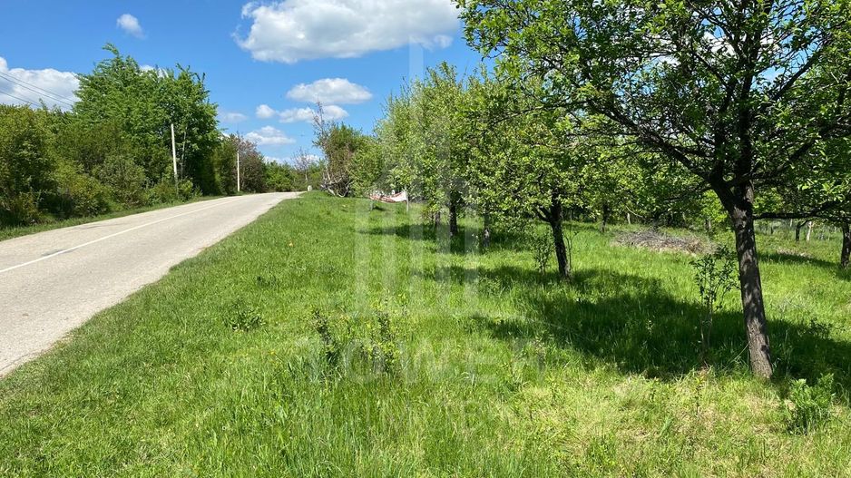 Teren premium 1000 mp-Sibiel - Poză 6