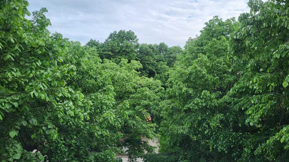 Apartament 2 camere, Drumul Taberei, bloc de tip F, Plaza, 4/4 - Poză 8