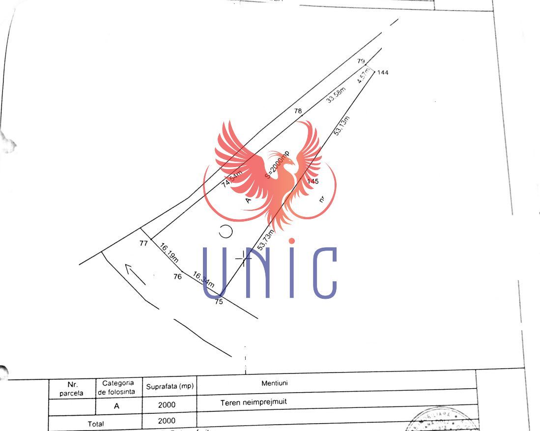 Teren intravilan-la strada principala, Robanesti - Poză 2