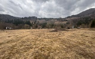 TEREN INTRAVILAN 500 MP SĂTIC- RUCĂR - Poză 14