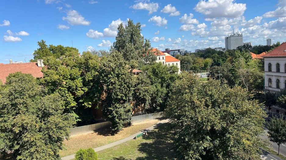 Apartament 2 camere, spațios,  în inima Timișoarei -  Piața Victoriei - Poză 6