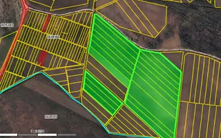 LIVADĂ DE NUCI – 24,5 HA | ȚÎNȚĂRENI, ANENII NOI - Poză 12