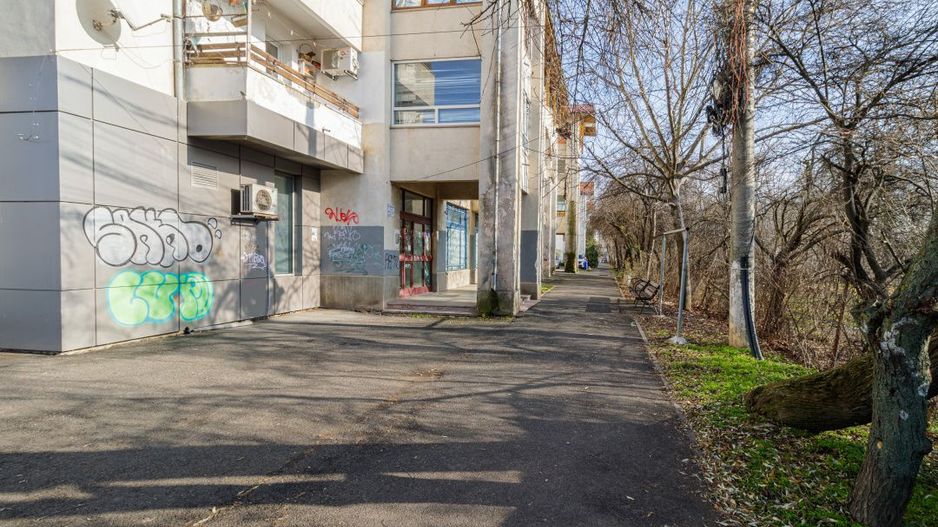 Apartament 3 camere 90 mp, etaj 1, stradal, Otopeni - Poză 10