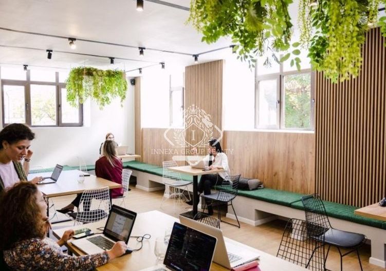 Calea Victoriei I Vila Monument Istoric I Consolidata si Renovata - Poză 1