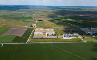 Teren Intravilan Investiții 11.600 mp Salonta - Poză 5