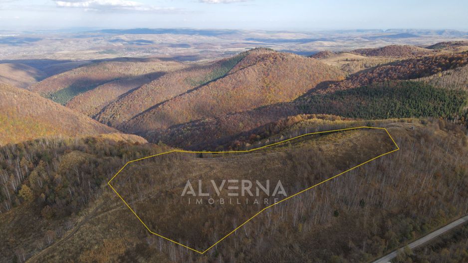 OPORTUNITATE | Teren intravilan | 34.625 mp | Plopi - Valea Ierii - Poză 3