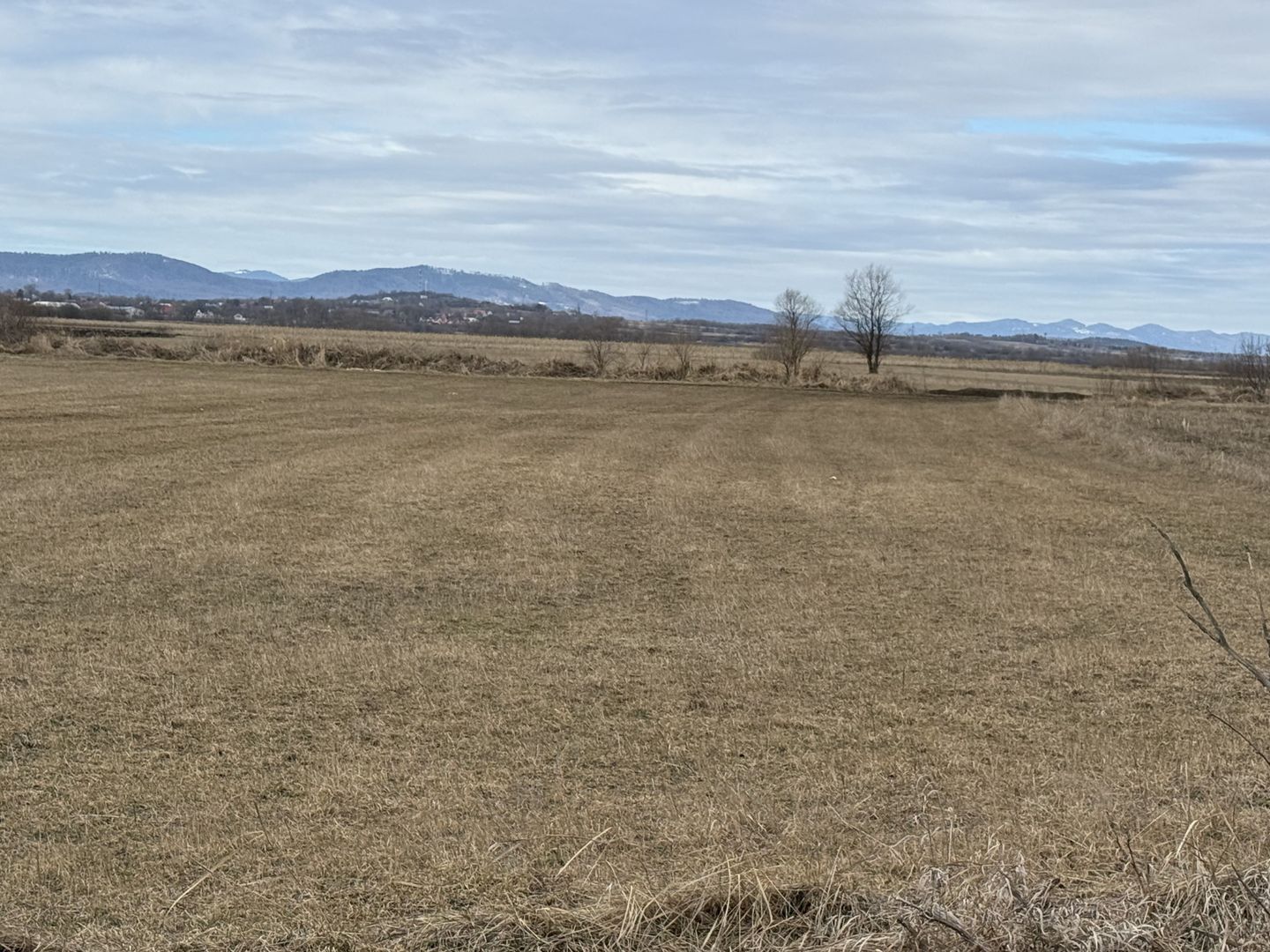 Teren extravilan | Rădăuți – zona Jalcău | 3.900 mp | 41 m front - Poză 1