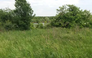 Teren Buftea cu iesire la lac - Poză 24
