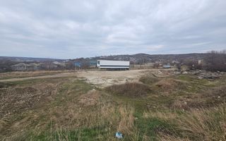 Teren pentru construcții 1 ha, Ruseștii Noi, Ialoveni - Poză 6